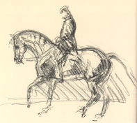 cavallo con cavaliere